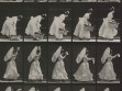 Eadweard Muybridge, Animal Locomotion, plate 483