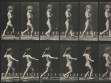 Eadweard Muybridge, Animal Locomotion, plate 540